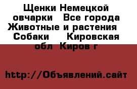 Щенки Немецкой овчарки - Все города Животные и растения » Собаки   . Кировская обл.,Киров г.